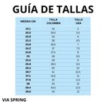 VIA SPRING.jpg