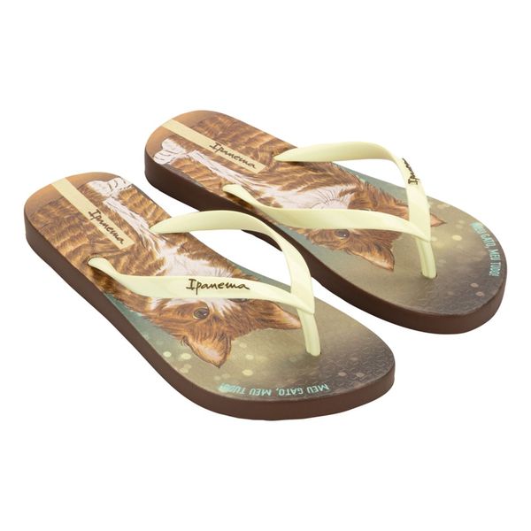 Chanclas Y Ultralivianos Ipanema Mujer Confort Marron 646174