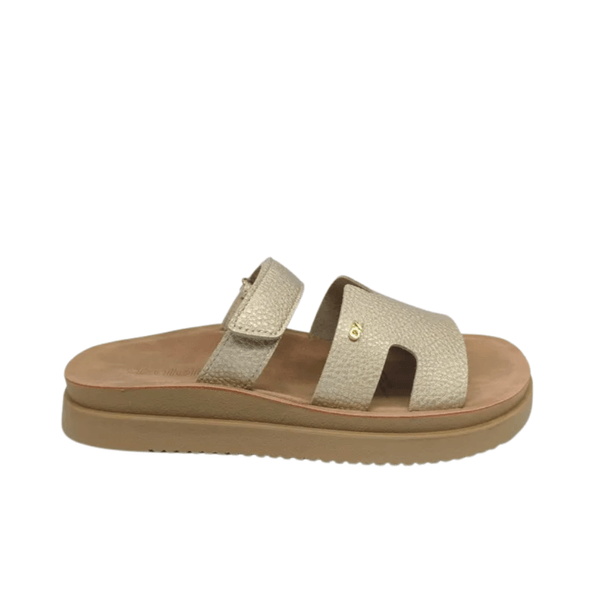 Sandalias Azaleia Mujer Confort Dorado 646189