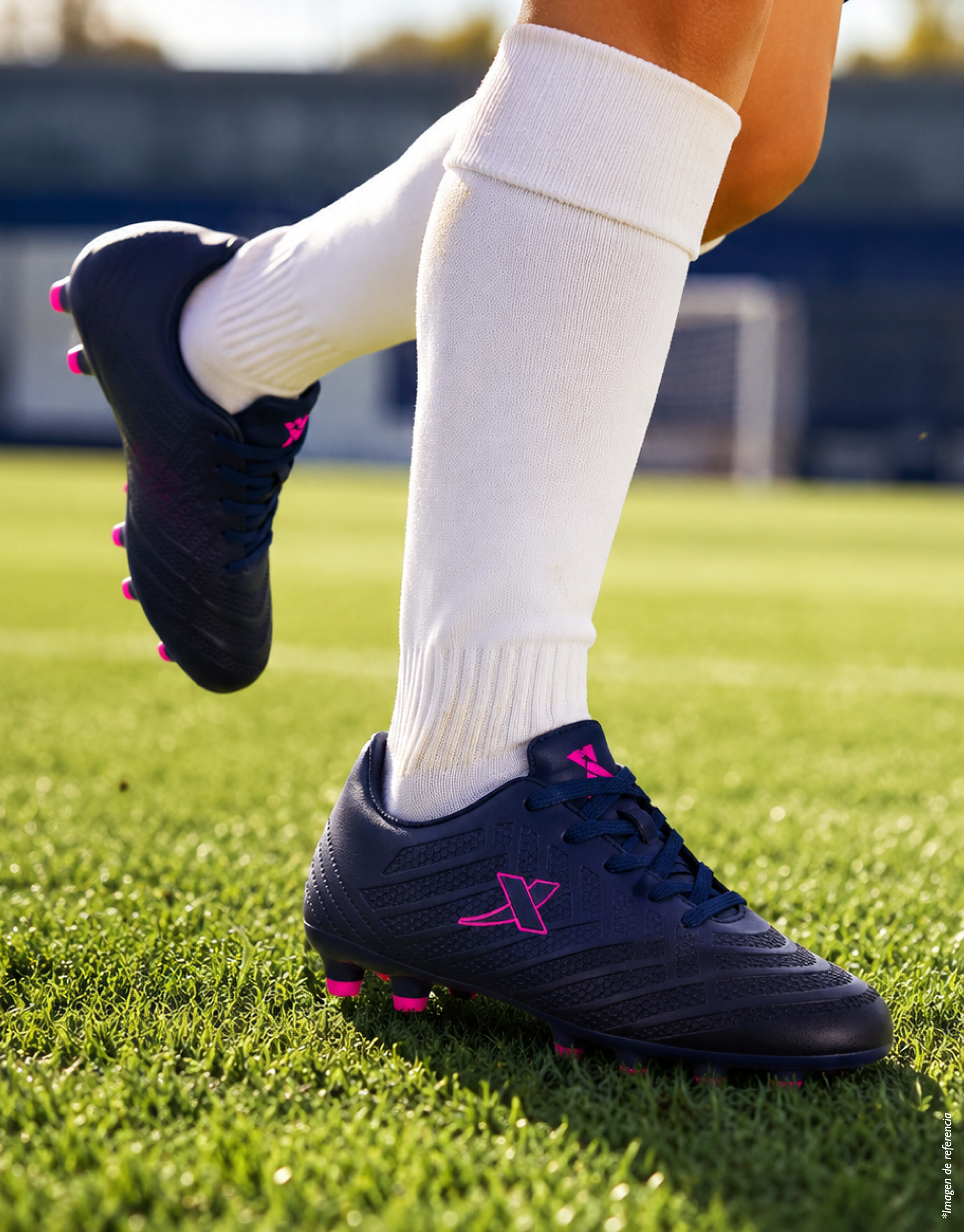 Banner 6